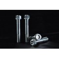 AELLA Titanium Caliper Bolts for Ducati (M10x55 - Pitch 1.25) AELLA Titanium Caliper Bolts for Ducati (M10x55 - Pitch 1.25)